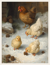 Chickens in the Snowlight
