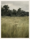 Artistic depiction of a landscape with grass and trees on a gray background