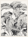 Black and white illustration of leafy plant design