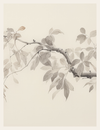 Artistic depiction of a branch with leaves on a light beige background
