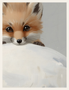 Fox Peek Over Snowrise