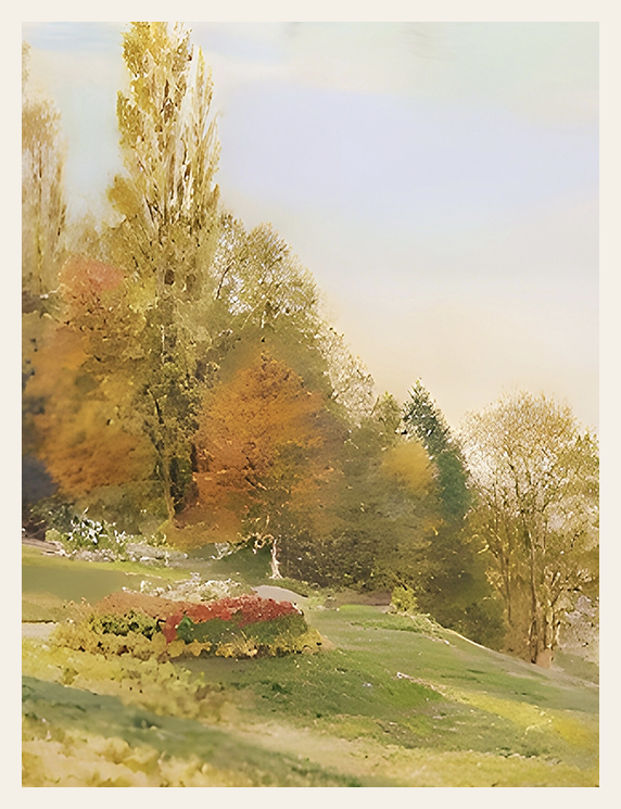 Landscape with trees and a path in a park