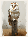 White owl perched on a branch with a blurred natural background