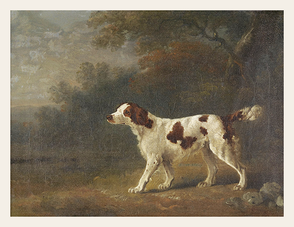 Spaniel in the Woods is a quiet portrait of attentiveness and grace. A white and brown spaniel stands alert in profile, its gaze fixed on something just beyond the frame. The wooded landscape behind it, muted trees, soft earth