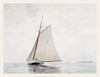 Sail in the Overcast Calm