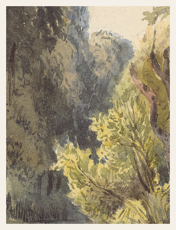 Artistic depiction of a natural landscape with trees and foliage.