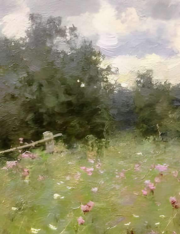 Wildflower Field and Clouded Light