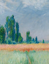 Tall Grass and Golden Horizon