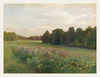 Evening Meadow and Grazing Calm