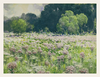 Wildflower Meadow at the Forest’s Edge