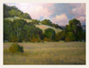 Pastel Hills and Quiet Field