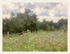 Wildflower Field and Clouded Light