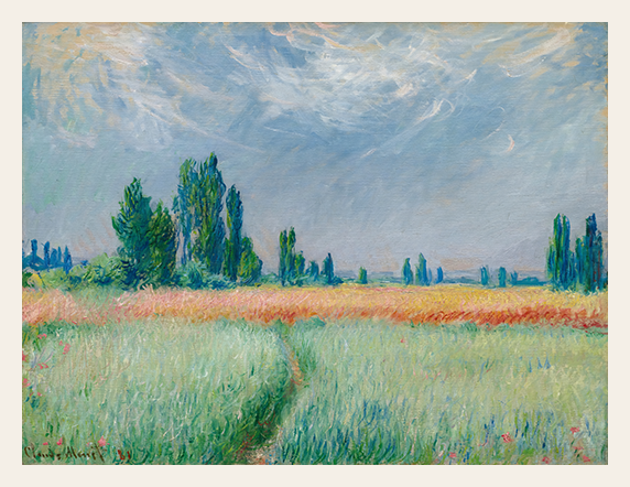 Tall Grass and Golden Horizon