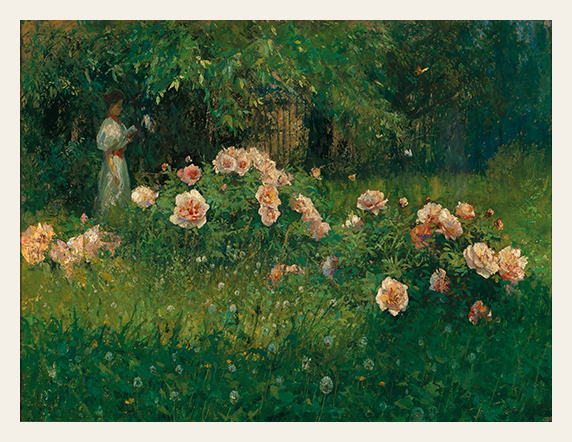 Rose Garden and Soft Gaze