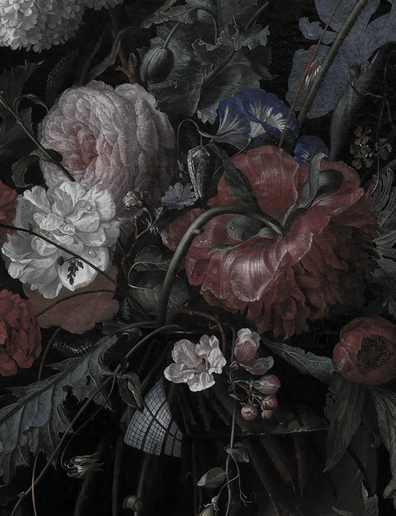 The Dark Curiosity Gallery Wall