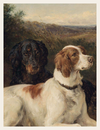 After the Hunt, 1874 is a quiet study in loyalty, labor, and tradition. Two dogs—one white with brown patches, the other black—lie calmly beside a collection of game birds, their postures relaxed yet alert. Pheasants and pigeons are arranged with care, their feathers rendered in exquisite detail. 