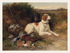 After the Hunt, 1874 is a quiet study in loyalty, labor, and tradition. Two dogs—one white with brown patches, the other black—lie calmly beside a collection of game birds, their postures relaxed yet alert