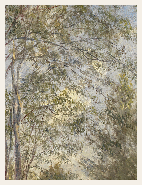 Artistic depiction of trees with a textured background