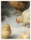 Chickens in the Snowlight