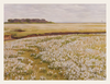 Painting of a landscape with white flowers, green fields, and a cloudy sky.