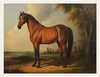 Portrait in the Clearing is a study in strength and serenity. A glossy brown horse stands in profile, its muscular form rendered with anatomical precision and quiet dignity.