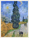 Cypress Rising Beneath the Swirling Sky