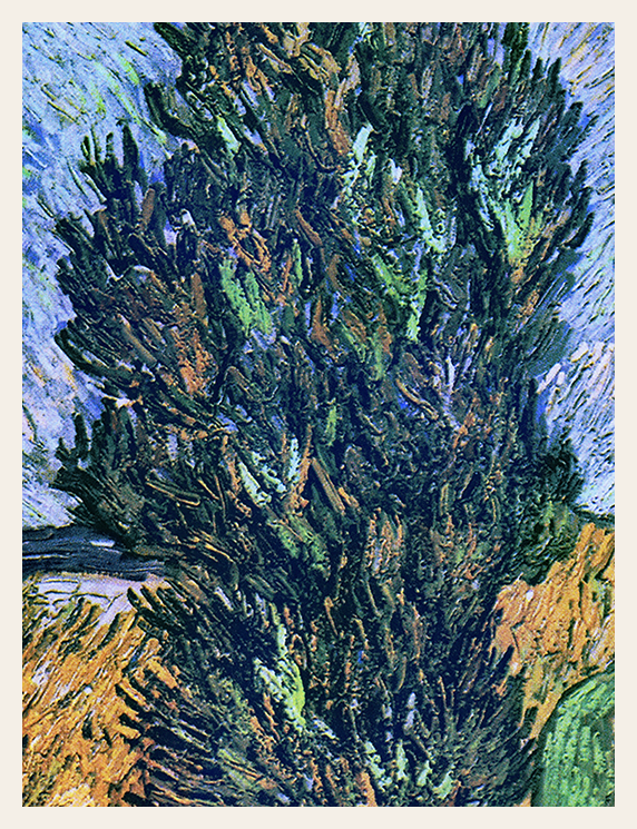 Cypress Rising Beneath the Swirling Sky