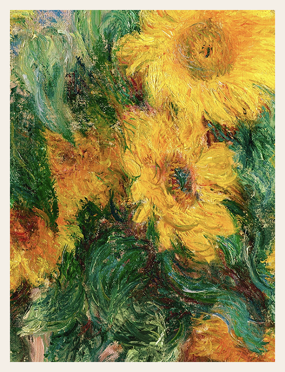 Sunflowers in the Warm Morning Light