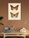 Monarch Wings in Scientific Stillness