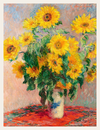 Sunflowers in the Warm Morning Light