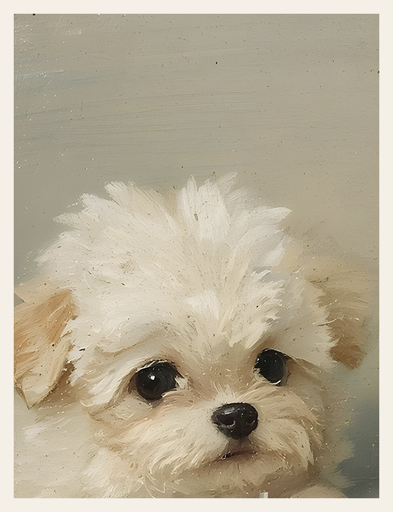 Soft Paws on Snow Blanket