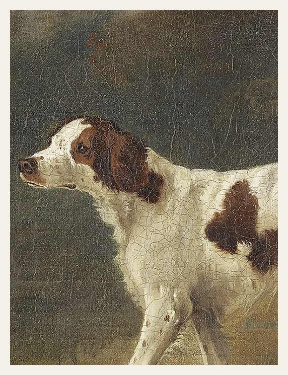 The dog’s posture suggests both readiness and curiosity, capturing a moment of connection between animal and environment.