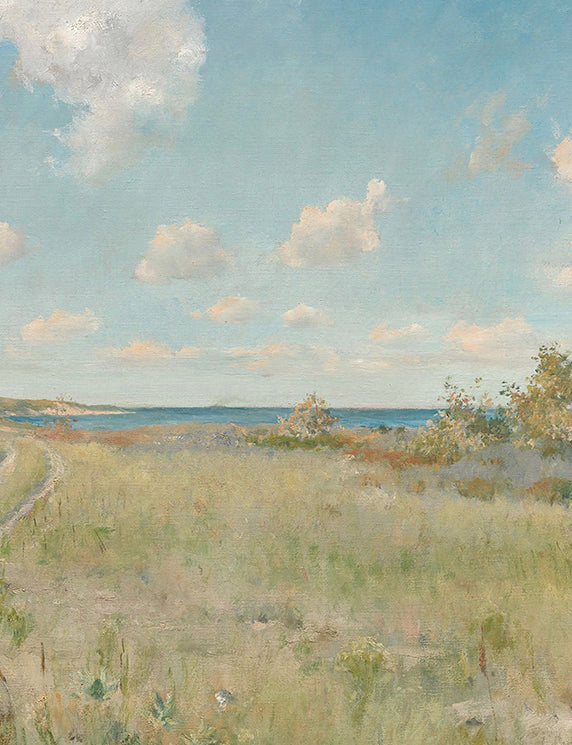 Path Leading Toward the Distant Sea