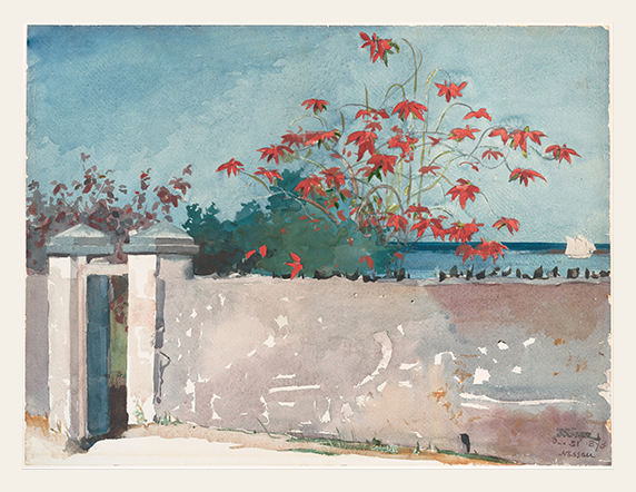 Open Gate Toward the Bright Blue Sea