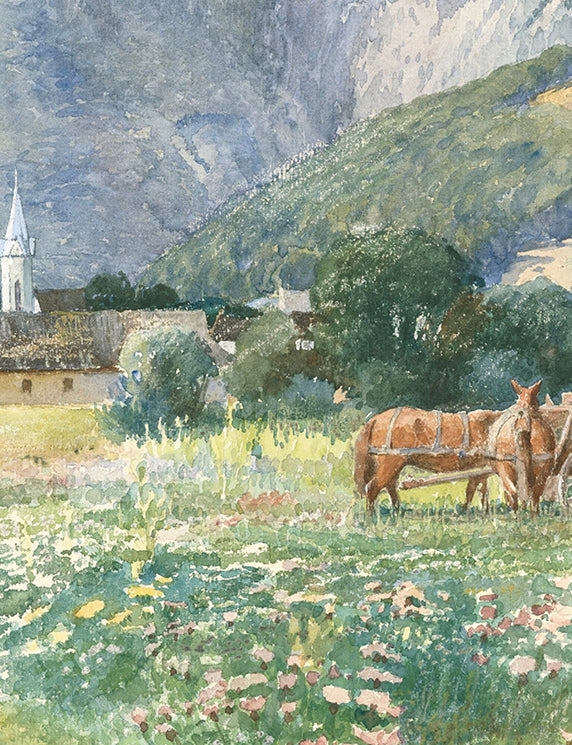 Village Fields and Mountain Light
