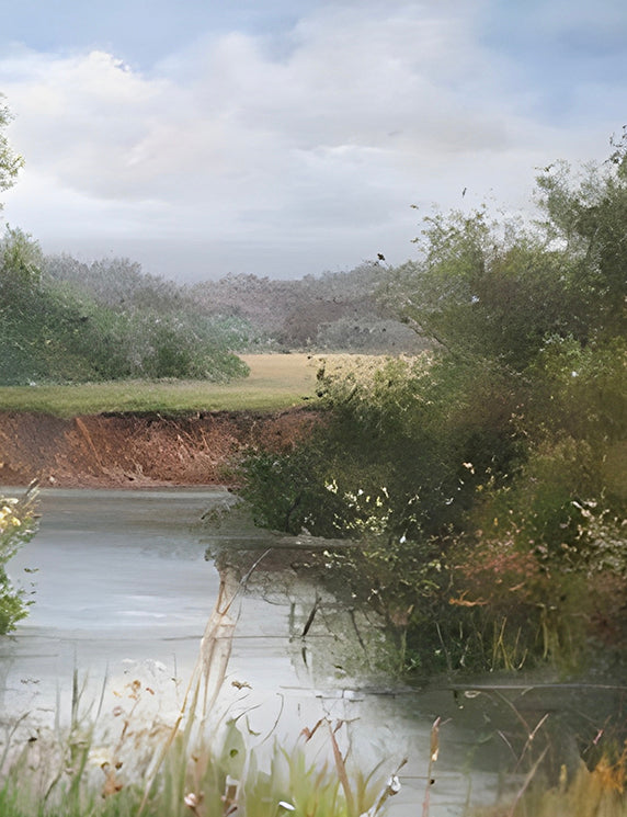 Riverside Meadow and Soft Light