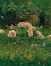 Rose Garden and Soft Gaze
