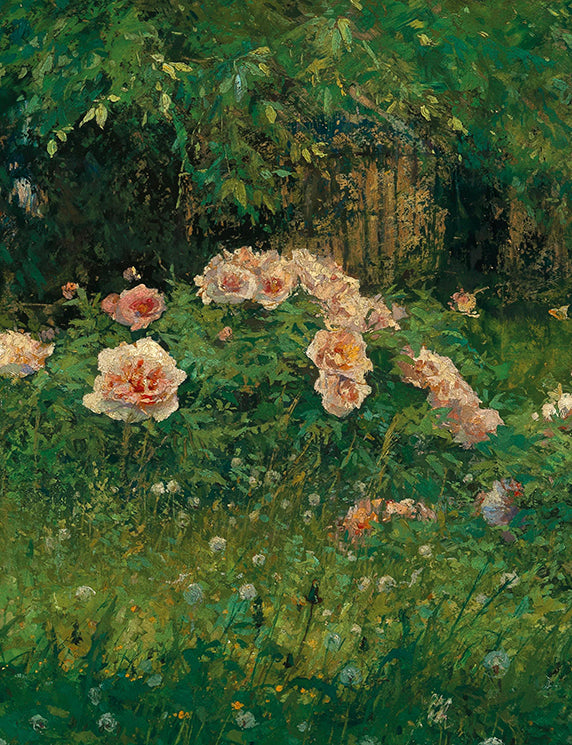 Rose Garden and Soft Gaze