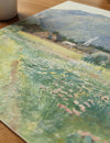 Village Fields and Mountain Light