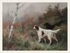 Woodland Watch and Morning Quiet