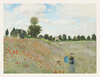 Poppy Field and Blue Parasol