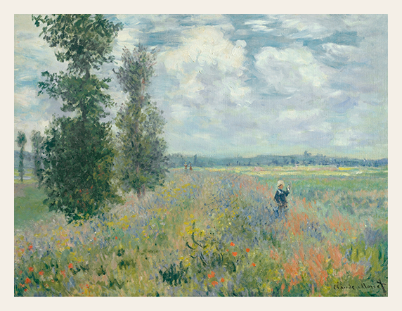 Meadow in Soft Bloom and Open Light