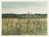 Wildflower Meadow and Soft Horizon