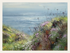 Cliff Bloom and Sea Haze