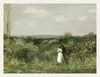 Meadow Companions and Gentle Hills
