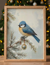Blue Tit and Golden Pine